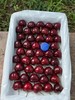 大连大樱桃 商品缩略图9