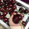 大连大樱桃 商品缩略图3