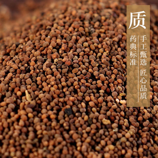 菟丝子 康美中药饮片 独立小包装 商品图2