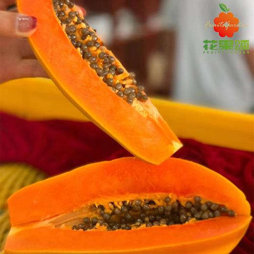 树熟木瓜一个 商品图0