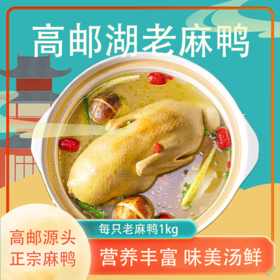 高邮湖2年生老麻鸭1kg/只*1只