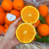 夏橙 甜蜜爆汁 新鲜橙子 商品缩略图4