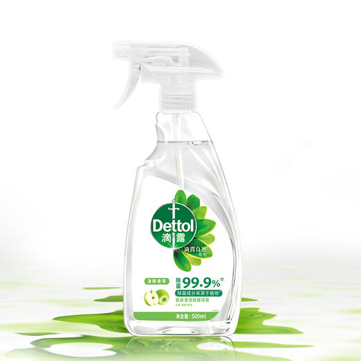 Dettol滴露家居清洁除菌喷雾500ml 商品图0