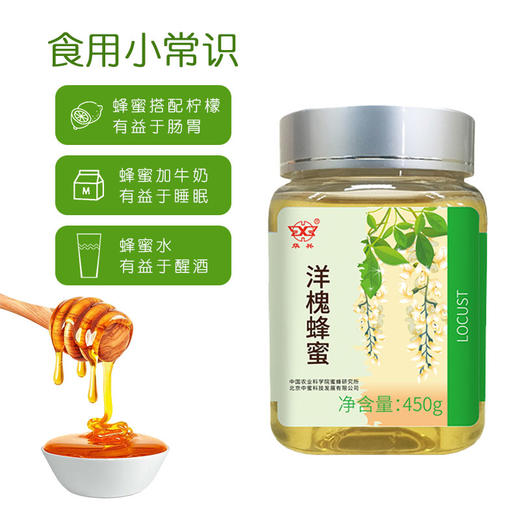 买3送荔枝蜂蜜 华兴牌 洋槐蜂蜜450g 中国农业科学院蜜蜂研究所打造 商品图2