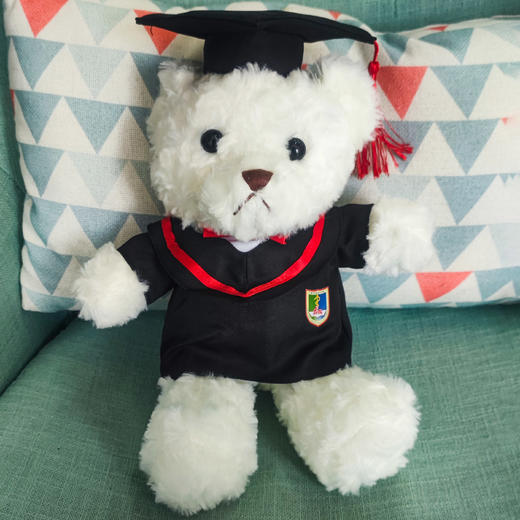 南医博士小熊 商品图0