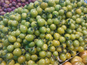 绿宝石柿子一斤