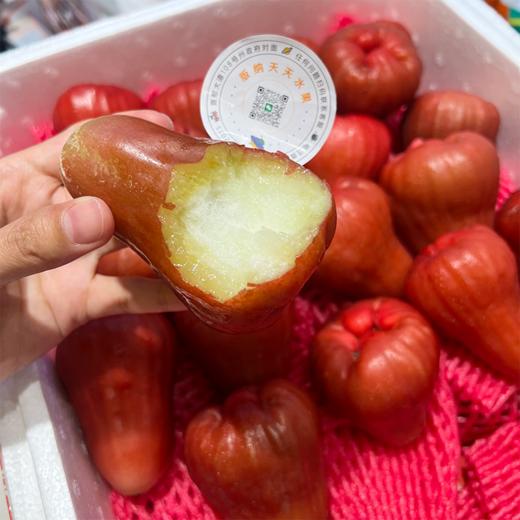 海南黑金刚莲雾 海南空运 好好吃的莲雾 商品图12