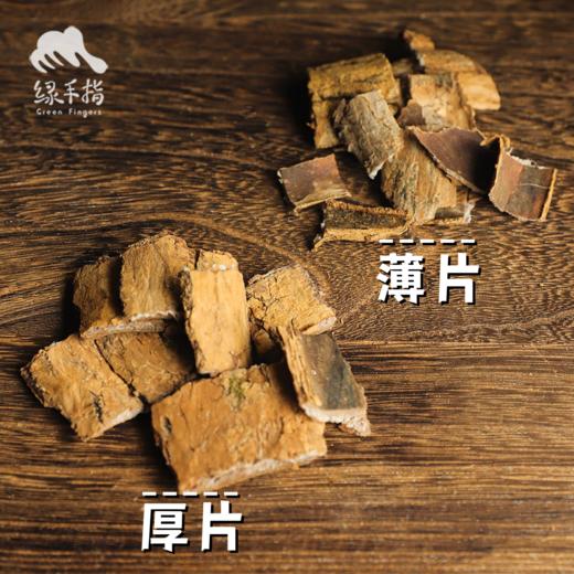 野生杜仲 | 合作生产 * Eucommia ulmoides | Partner Production 商品图2