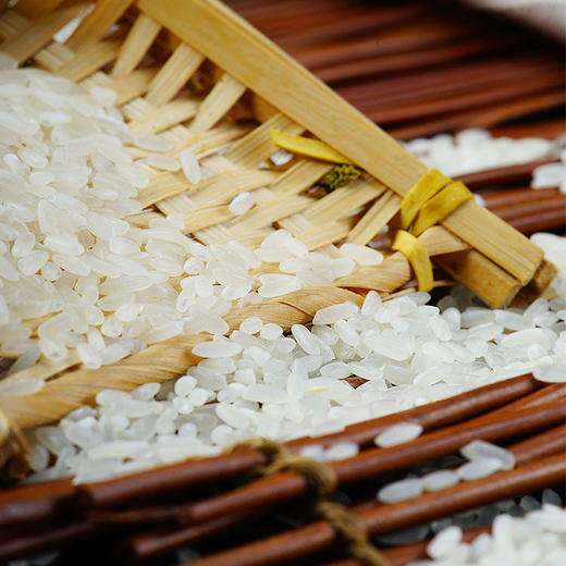 天仁道五常贡香米5kg 商品图3