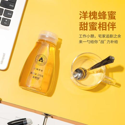 森蜂园 蜂蜜挤压装250g（洋槐/椴树） 商品图1