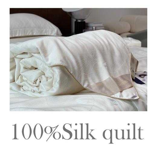 【限时秒杀】自然醒100%蚕丝被玻尿酸提花蚕丝中长丝夏凉被手工春秋被空调被芯蚕丝冬被CY（不参与优惠券） 商品图0