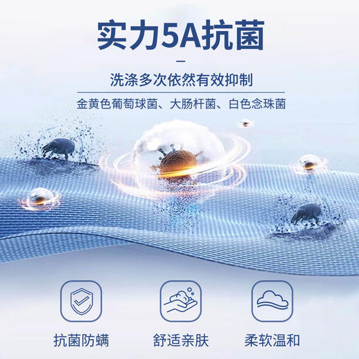 【冰锋二号】水柔新疆长绒棉5A抗菌透气吸湿T恤255X0T911S【T】 商品图9