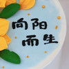 向阳而生蛋糕 商品缩略图2