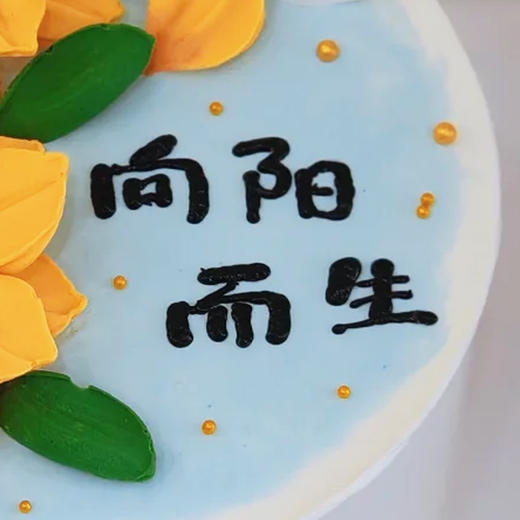 向阳而生蛋糕 商品图2
