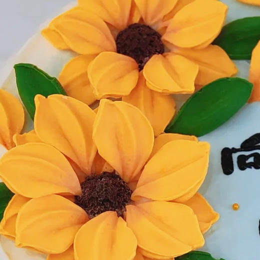 向阳而生蛋糕 商品图1