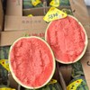 翡翠年华4K西瓜 甘肃产区 酥脆甜 商品缩略图6