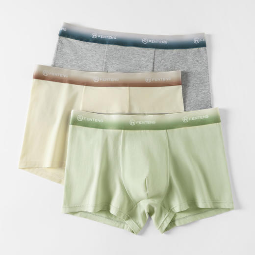 芬腾纯棉内裤男款夏季冰丝抗菌裆平角裤青年运动透气大码四角短裤 商品图0