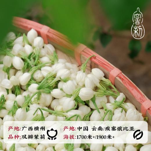 捌比特 茉莉花中式拼配  茉莉浓 中度烘焙 咖啡豆 250g 商品图3