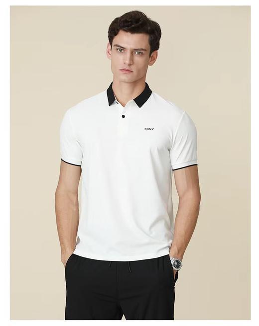 SANY男士时尚撞色休闲翻领T恤320C 商品图0