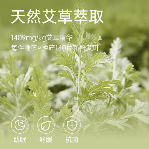 武汉爱帝 女式轻体棉莫长袖家居服 商品图2