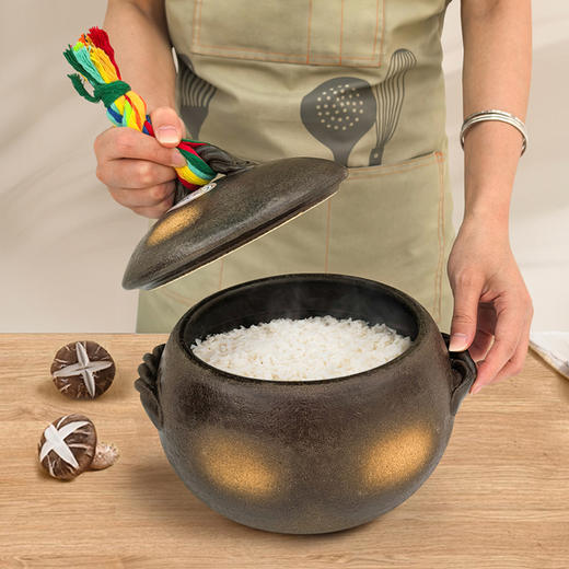 日本原装进口万古烧砂锅老式耐高温燃气土锅家用煲汤米饭锅 商品图5