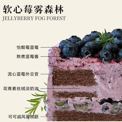 软心莓雾森林（所有绿植均不可食用！） 商品图2