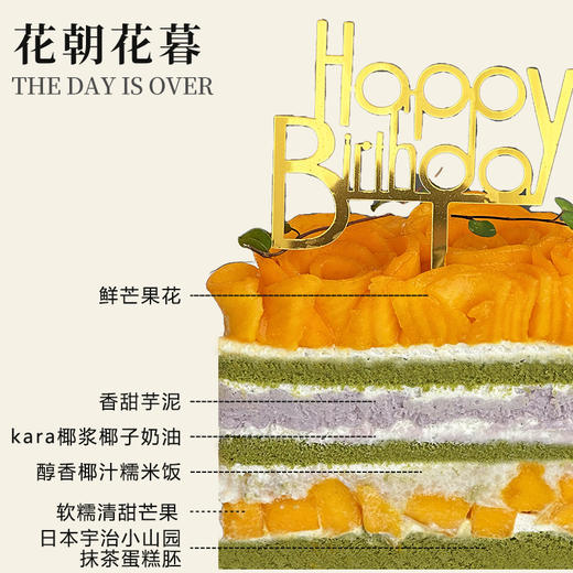 花朝花暮（所有绿植均不可食用！） 商品图2