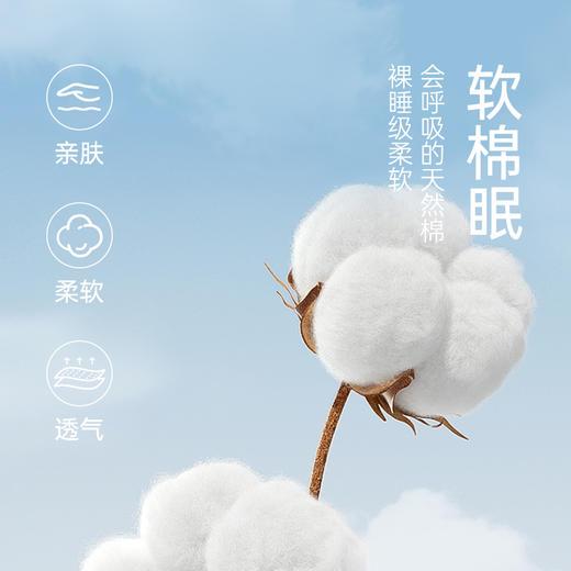 武汉爱帝 女式轻体棉莫长袖家居服 商品图1