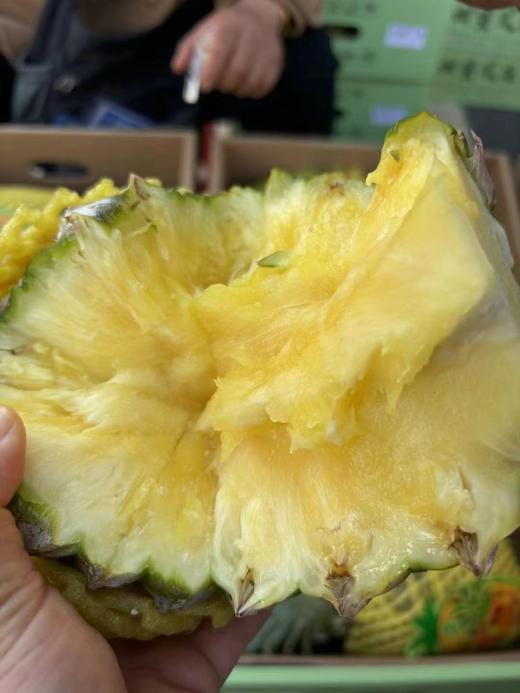 海南古法凤梨 香甜口 商品图9