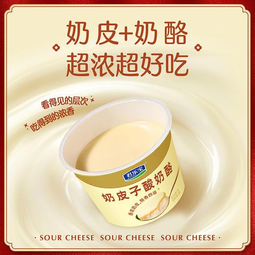 【新品上市】君乐宝奶皮子酸奶酪120g 超浓超好吃 商品图1