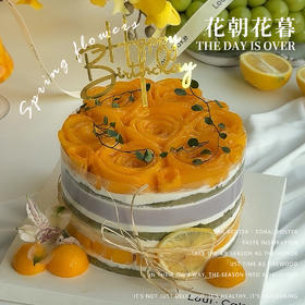 花朝花暮（所有绿植均不可食用！）