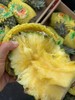 海南古法凤梨 香甜口 商品缩略图10