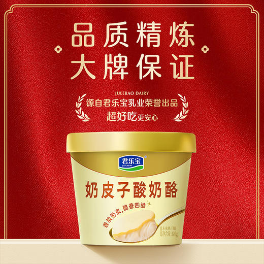 【新品上市】君乐宝奶皮子酸奶酪120g 超浓超好吃 商品图3