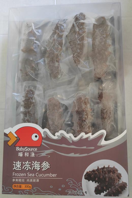 【BF】喵和渔速冻海参 300g 商品图0