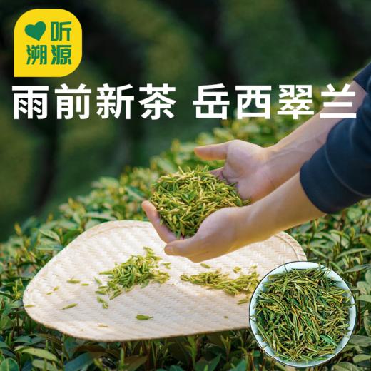 【岳西翠兰特级绿茶】源于岳西核心产区 雨前新茶 芽叶成朵 味道醇正！ 商品图0