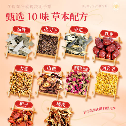 康美冬瓜荷叶玫瑰决明子茶8g*20包/盒 大麦栀子决明子红枣山楂橘皮重瓣玫瑰荷叶苦荞冬瓜大肚养生代泡茶 商品图1