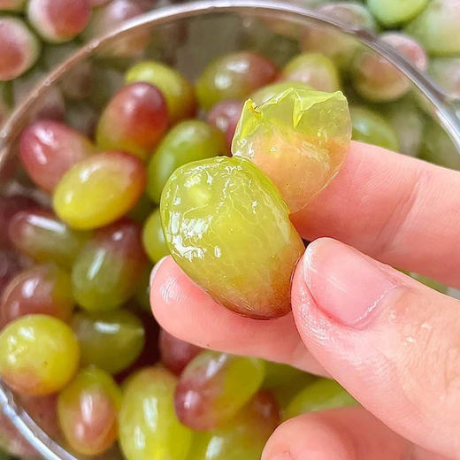 茉莉香葡萄 约500g/份（爆珠般嘎嘣脆） 商品图1