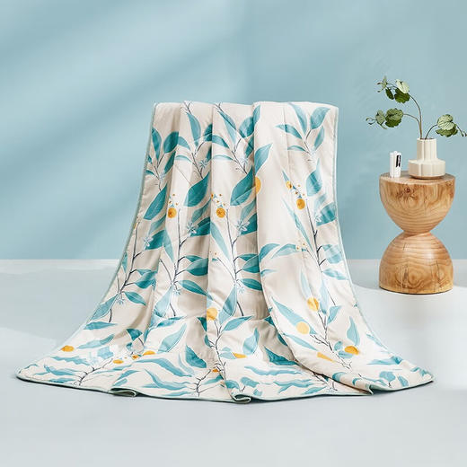 【多样屋专柜】罗莱果色天香夏被 150*200cm 空调被花舞忆梦花漾人生经典夏被纤维被 商品图8