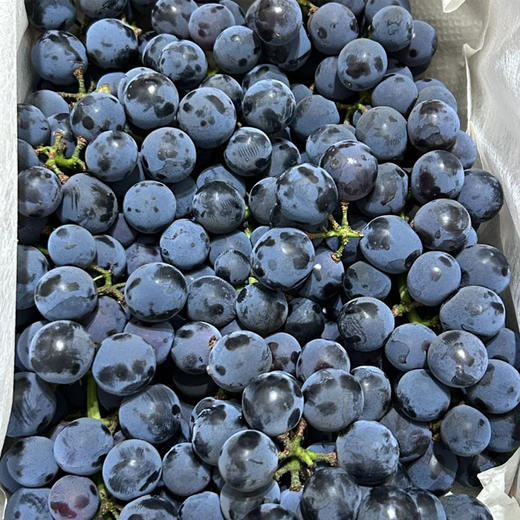 【酸甜可口】蓝莓葡萄 约500g/份 商品图1