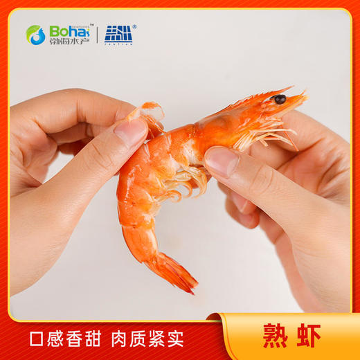 【有机盐田生虾仁/熟虾仁组合】Q弹鲜甜不缩水 | 生态盐田虾 国内唯yi一家盐田有机虾 低脂肪高蛋白食材 多规格 商品图3