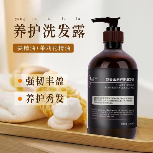 佰芳源浓姜精华洗发露男女无硅油清爽控油去屑养发生姜洗发水500ml 商品图2