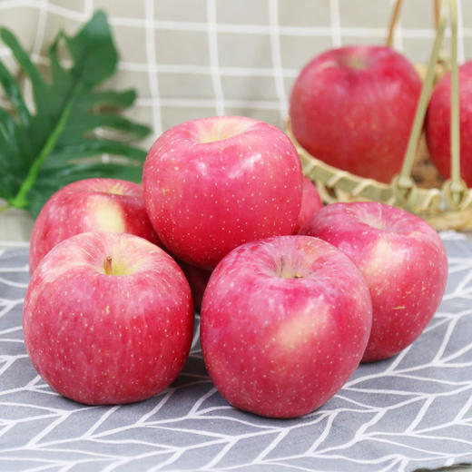 红富士苹果1kg+  4~6个 商品图1