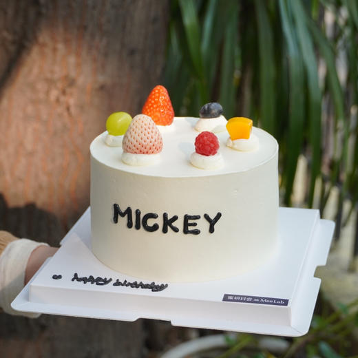 0848 “ins风简约蛋糕 商品图0