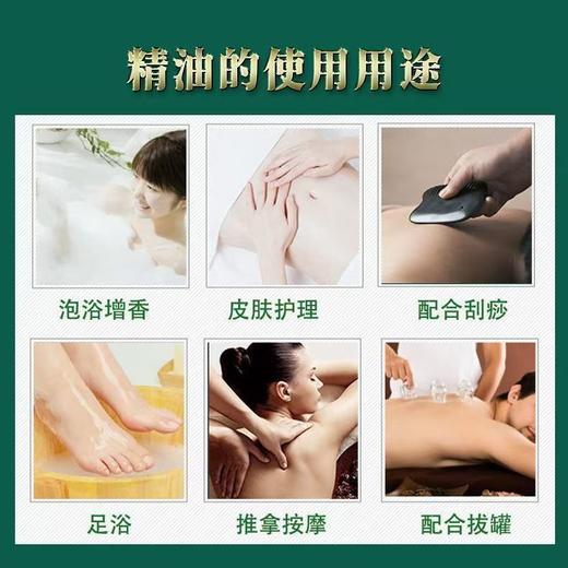 佰芳源橄榄精油30ml开背按摩身体刮痧小瓶装美容院足疗店通用 商品图3