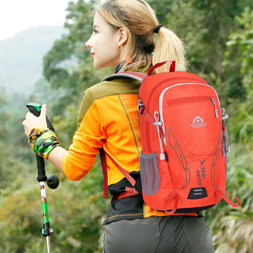 艾王20L双肩登山包轻便量化徒步旅游9838B 商品图0