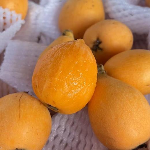 长虹枇杷  口感润田 这个季节枇杷界甜度高的 商品图5