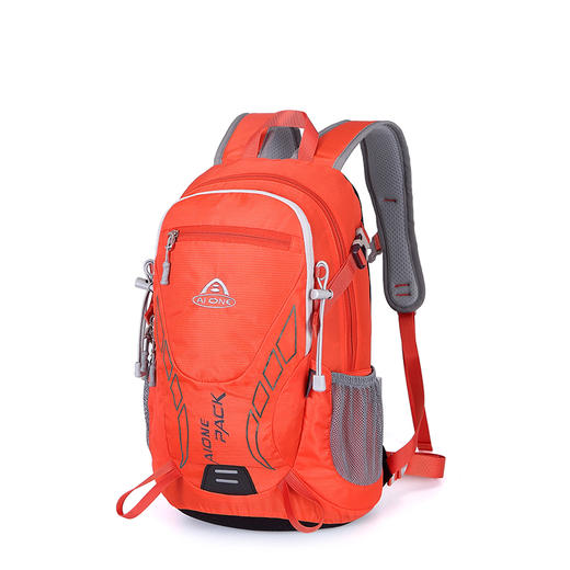 艾王20L双肩登山包轻便量化徒步旅游9838B 商品图1