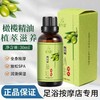 佰芳源橄榄精油30ml开背按摩身体刮痧小瓶装美容院足疗店通用 商品缩略图0