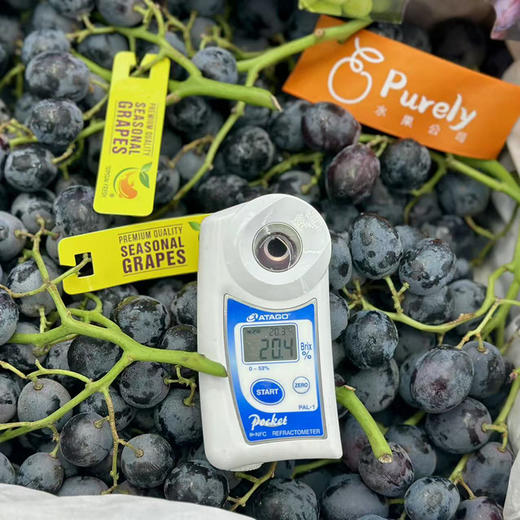 智利空运- CandyDreams 「神秘梦境黑提」1kg 商品图4