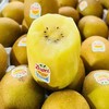 现切佳沛黄奇异果400g 商品缩略图2